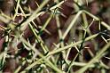 20090603_163848 D300 X1